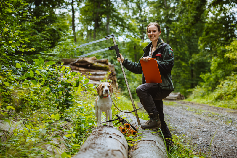 Illustration von Forstoberinspektor/innen