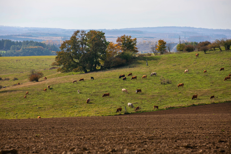 Illustration vom Fachbereich Land- und Forstwirtschaft