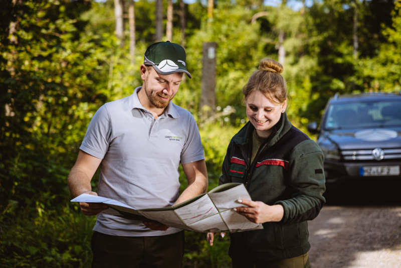 Illustration von Forstrefendar/innen