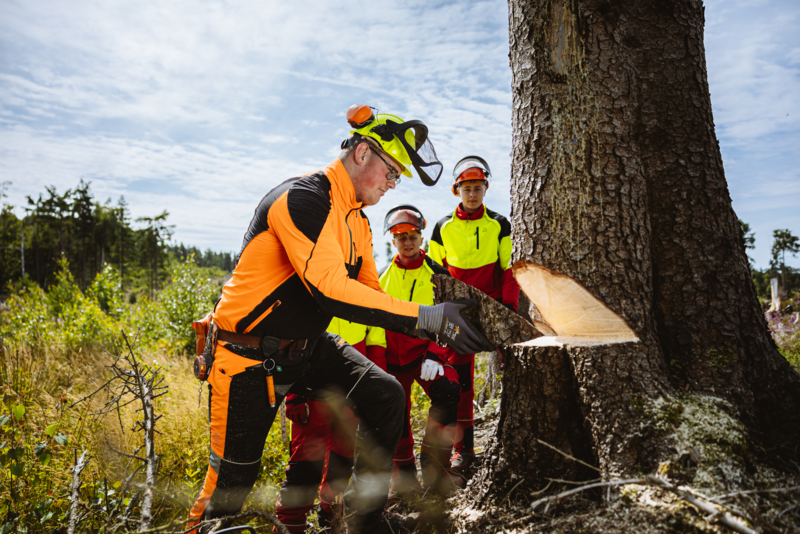 Illustration von Forstwirten